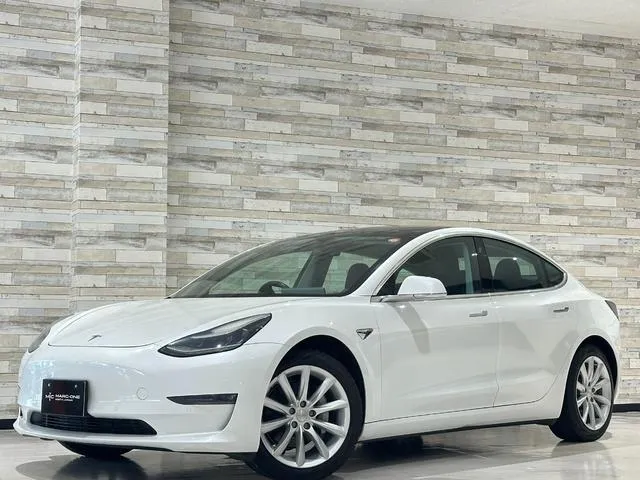 Tesla MODEL 3 LONG RANGE AWD — миниатюра 1