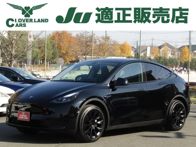 Tesla MODEL Y RWD — миниатюра 1