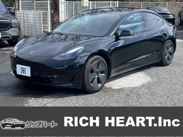 Tesla MODEL 3 RWD — миниатюра 1