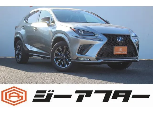 Lexus NX NX300H COOL&BRIGHT — миниатюра 1