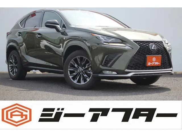 Lexus NX NX300H COOL&BRIGHT — миниатюра 1