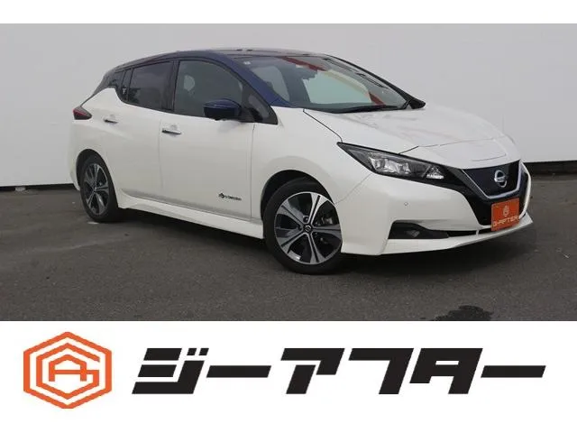Nissan LEAF X V SELECTION — миниатюра 1