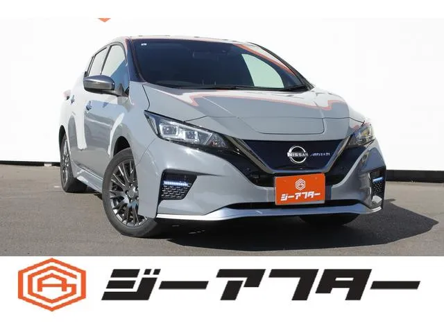 Nissan LEAF e+ AUTECH — миниатюра 1