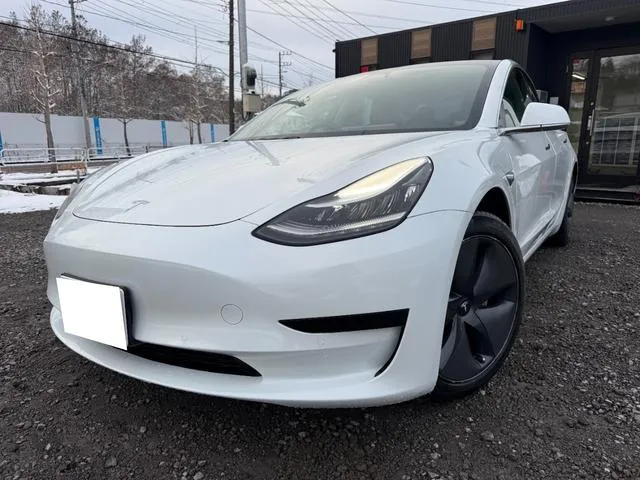 Tesla MODEL 3 STANDARD RANGE PLUS — миниатюра 1