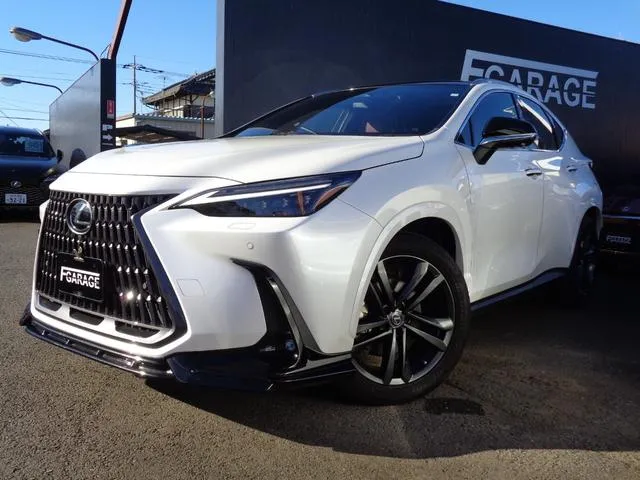 Lexus NX NX250 VERSION L — миниатюра 1