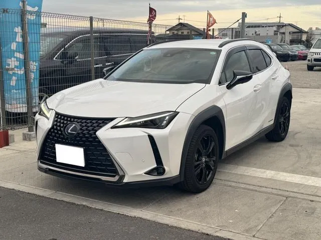 Lexus UX UX250H URBAN ELEGANCE — миниатюра 1