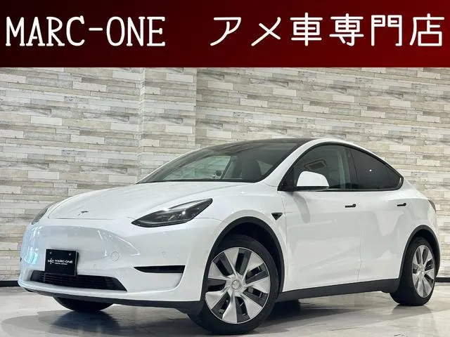 Tesla MODEL Y RWD — миниатюра 1