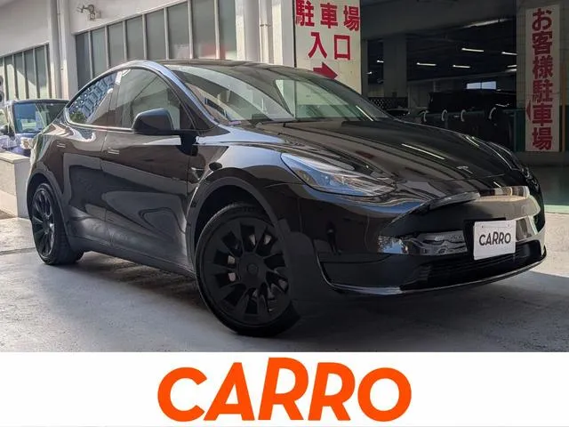 Tesla MODEL Y — миниатюра 1