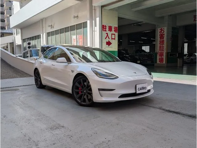 Tesla MODEL 3 DUAL MOTOR AWD PERFORMANCE — миниатюра 1