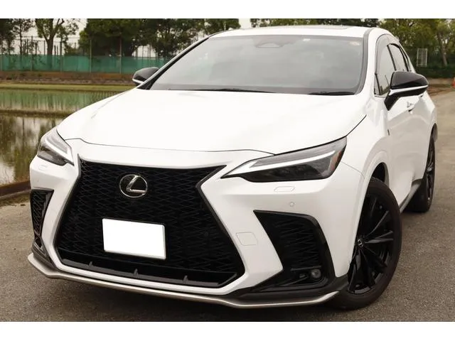 Lexus NX NX450H+ F SPORT — миниатюра 1