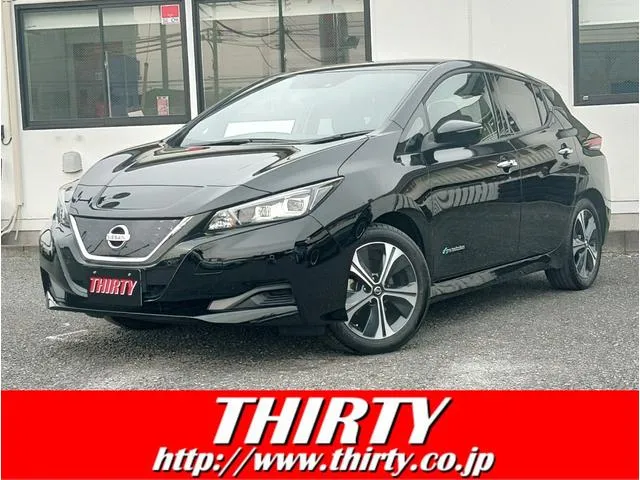 Nissan LEAF X V SELECTION — миниатюра 1