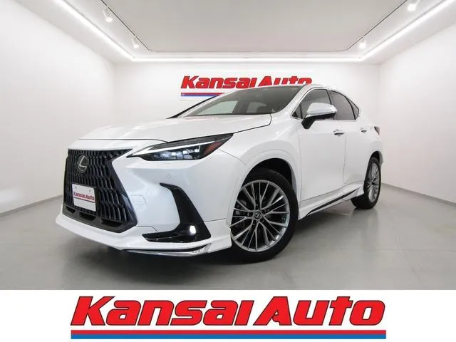 Lexus NX NX250 VERSION L — миниатюра 1