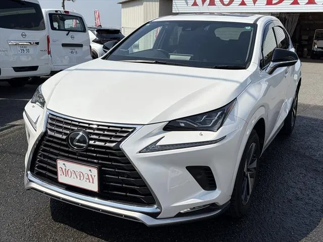 Lexus NX NX300 SPICE&CHIC — миниатюра 1