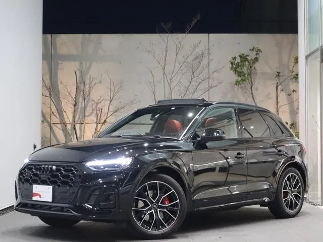 Audi SQ5 BASE GRADE — миниатюра 1