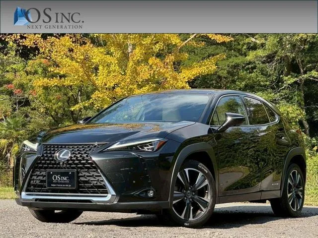 Lexus UX UX250H VERSION L — миниатюра 1
