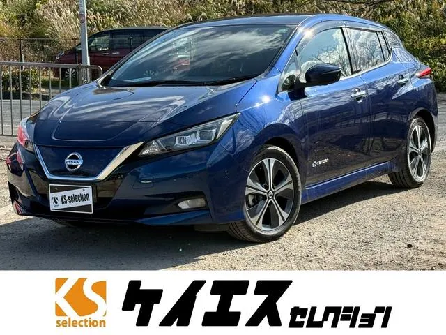Nissan LEAF G — миниатюра 1