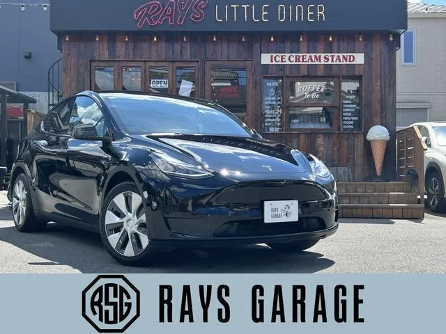 Tesla MODEL Y RWD — миниатюра 1