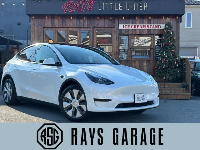 Tesla MODEL Y RWD — миниатюра 1