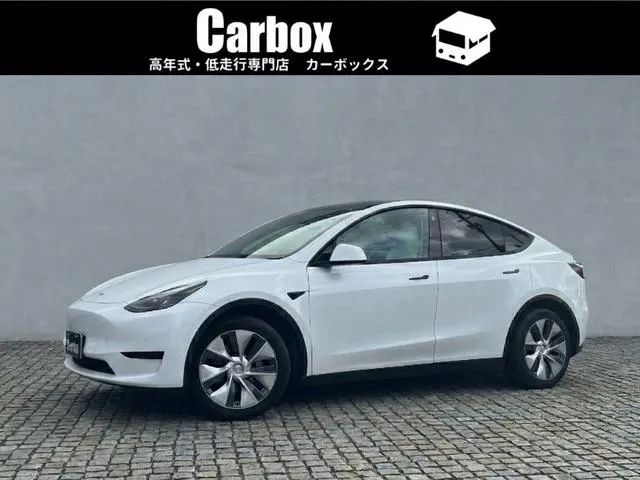 Tesla MODEL Y RWD — миниатюра 1