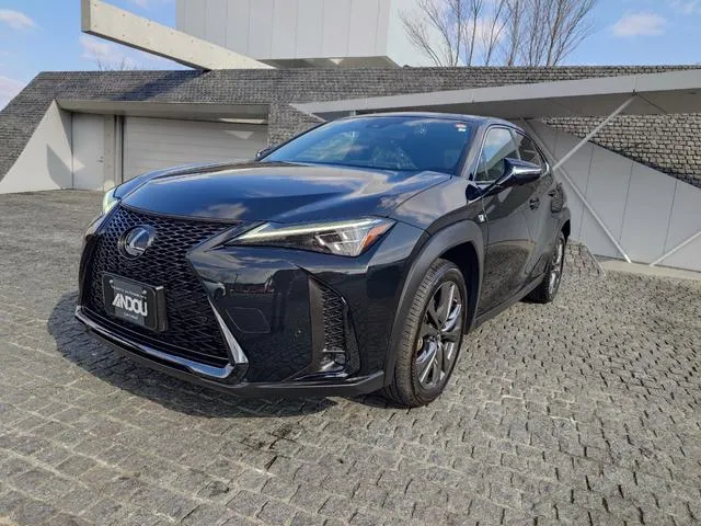 Lexus UX UX250H F SPORT — миниатюра 1
