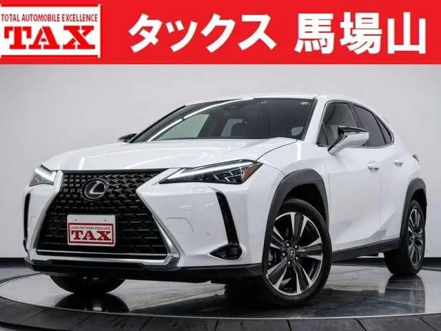 Lexus UX UX250H VERSION L — миниатюра 1