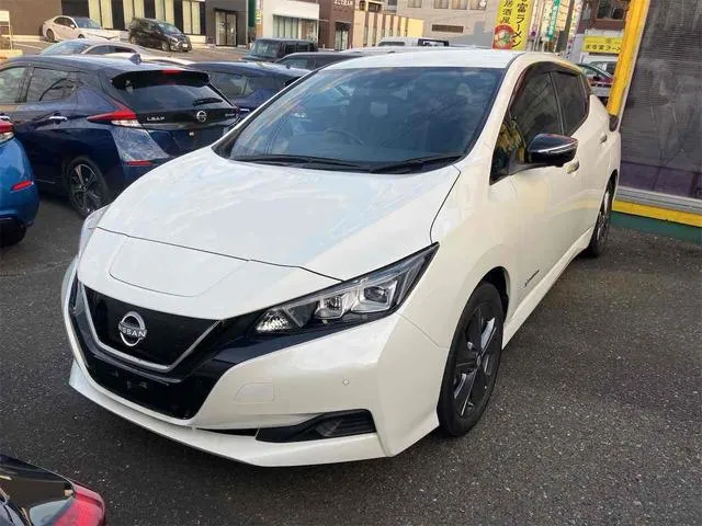 Nissan LEAF URBAN CHROME — миниатюра 1