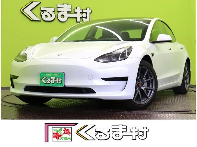 Tesla MODEL 3 — миниатюра 1