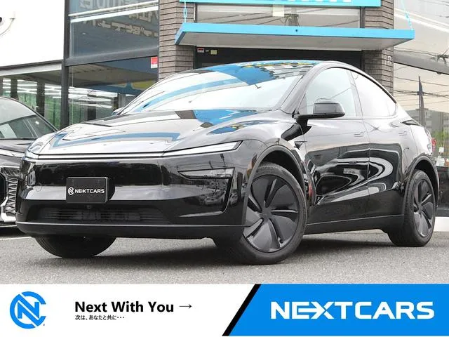 Tesla MODEL Y RWD — миниатюра 1