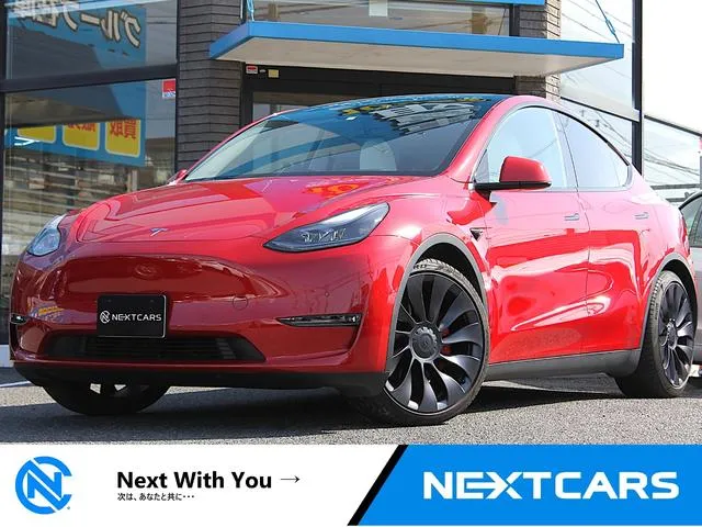 Tesla MODEL Y PERFORMANCE — миниатюра 1