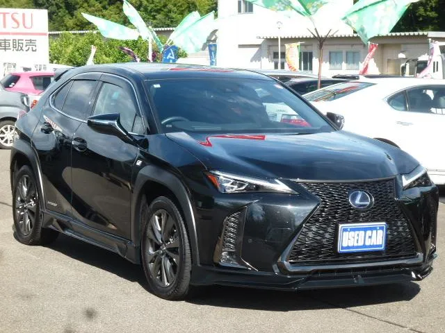 Lexus UX UX250H F SPORT — миниатюра 1