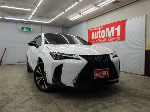 Lexus UX UX250H F SPORT EMOTIONAL EXPLORER — миниатюра 1