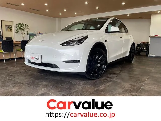 Tesla MODEL Y RWD — миниатюра 1