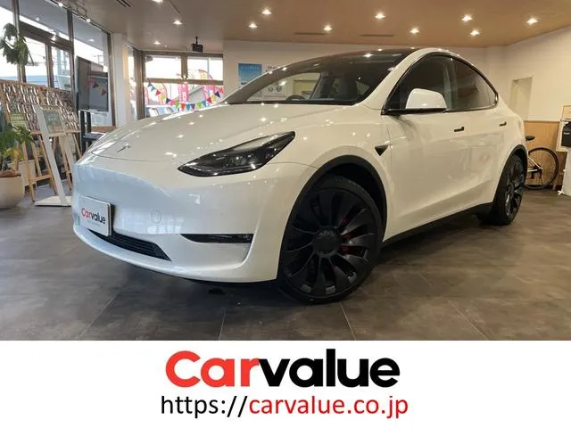 Tesla MODEL Y PERFORMANCE — миниатюра 1