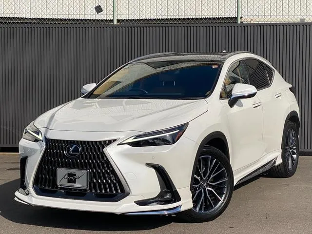 Lexus NX NX250 VERSION L — миниатюра 1