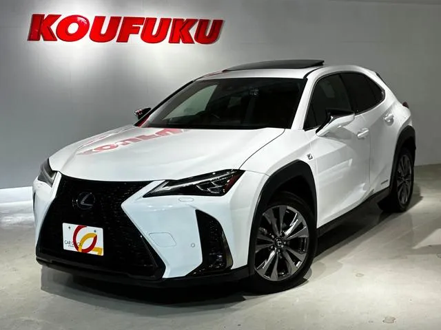 Lexus UX UX250H F SPORT — миниатюра 1