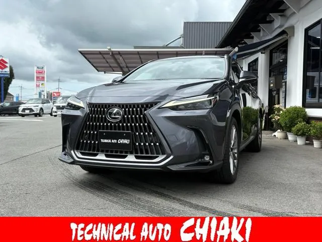 Lexus NX NX250 VERSION L — миниатюра 1