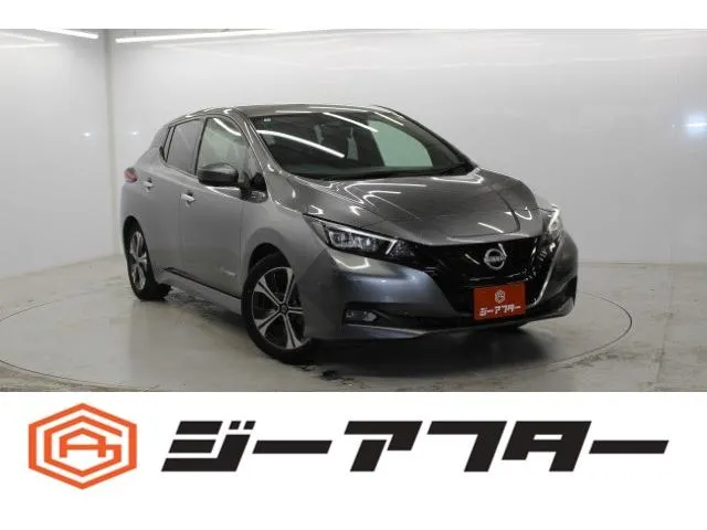 Nissan LEAF G — миниатюра 1