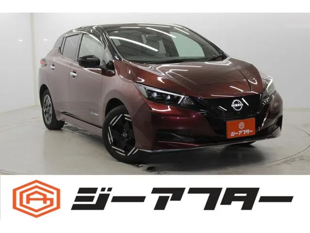 Nissan LEAF e+ X — миниатюра 1