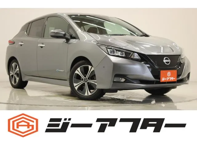 Nissan LEAF G — миниатюра 1