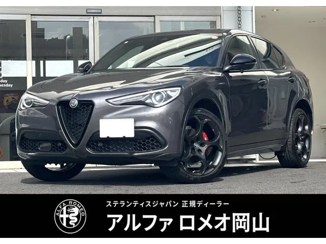 Alfa Romeo STELVIO 2.0 TURBO Q4 VELOCE — миниатюра 1