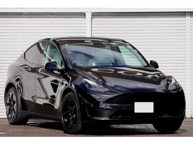 Tesla MODEL Y BASE GRADE — миниатюра 1