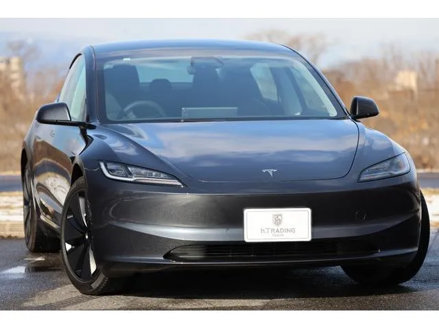 Tesla MODEL 3 LONG RANGE AWD — миниатюра 1