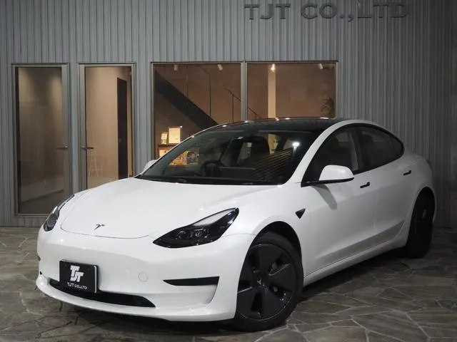 Tesla MODEL 3 STANDARD RANGE PLUS — миниатюра 1