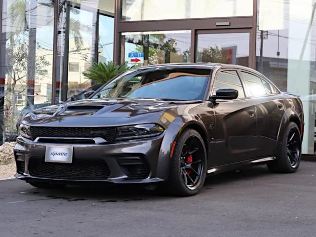 Dodge DODGE CHARGER — миниатюра 1