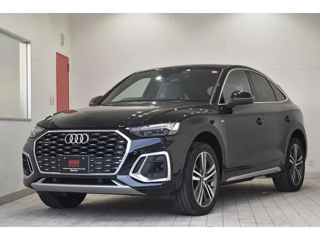 Audi Q5 SPORTBACK HIGH STYLE — миниатюра 1