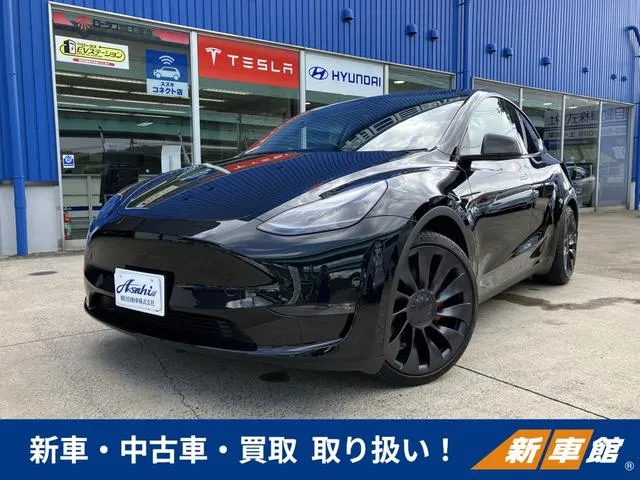 Tesla MODEL Y PERFORMANCE — миниатюра 1