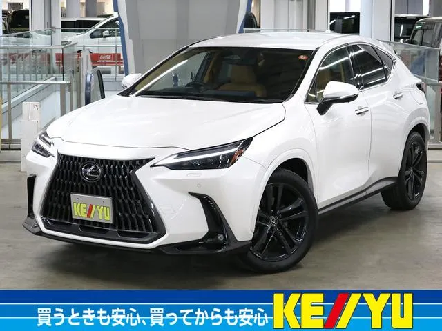 Lexus NX NX250 VERSION L — миниатюра 1