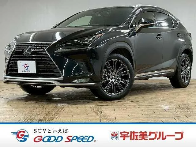 Lexus NX NX300 SPICE&CHIC — миниатюра 1