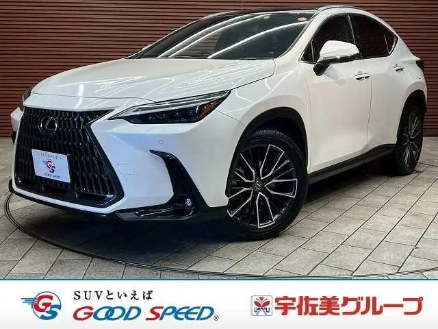 Lexus NX NX250 VERSION L — миниатюра 1