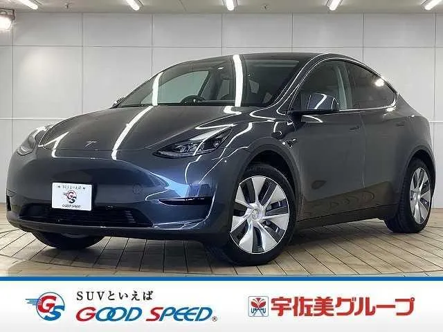 Tesla MODEL Y RWD — миниатюра 1